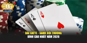 Bài Catte - Game Đổi Thưởng Đỉnh Cao Nhất Năm 2026