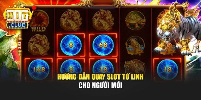 Hướng dẫn quay slot Tứ Linh cho người mới