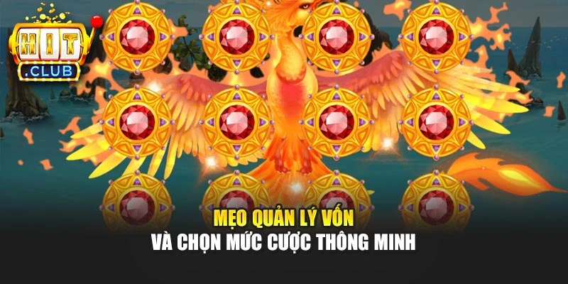 Mẹo quản lý vốn và chọn mức cược thông minh