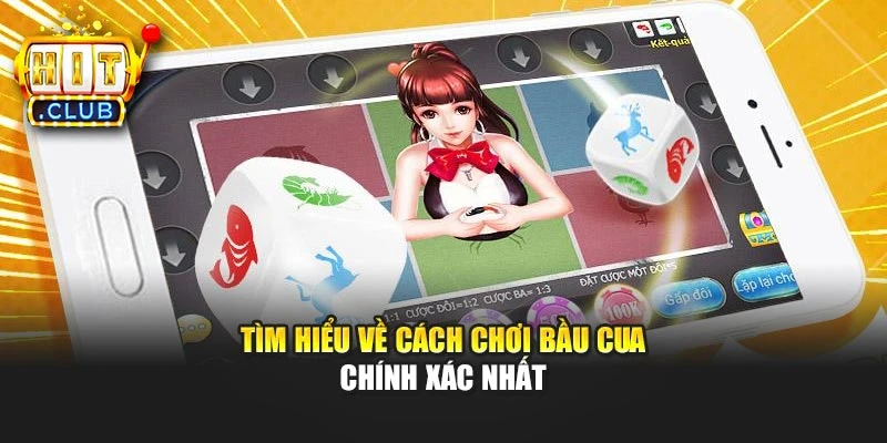 Tìm hiểu về cách chơi bầu cua chính xác nhất