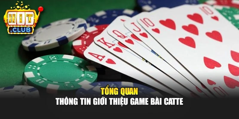 Tổng quan thông tin giới thiệu game bài catte