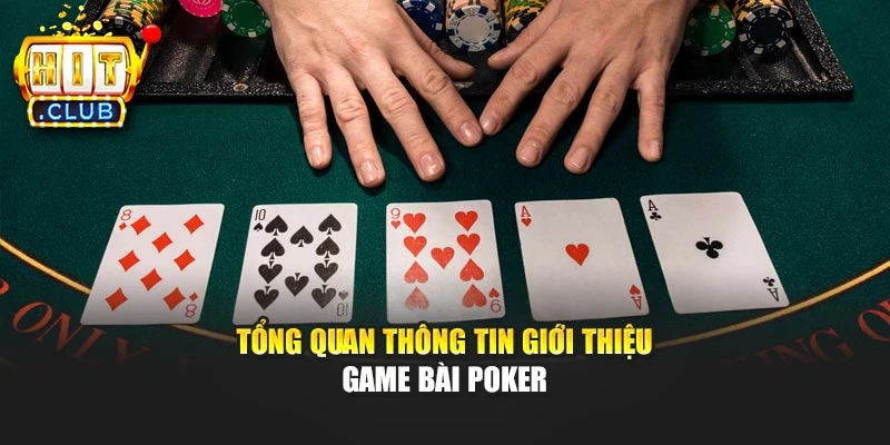 Tổng quan thông tin giới thiệu game bài poker